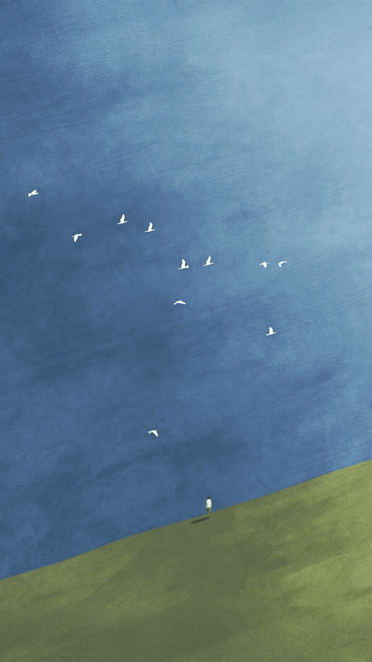 Gulls Over the Bay