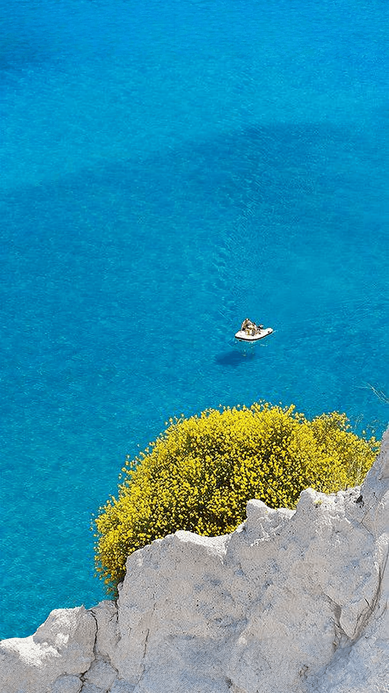 Cliff Cove