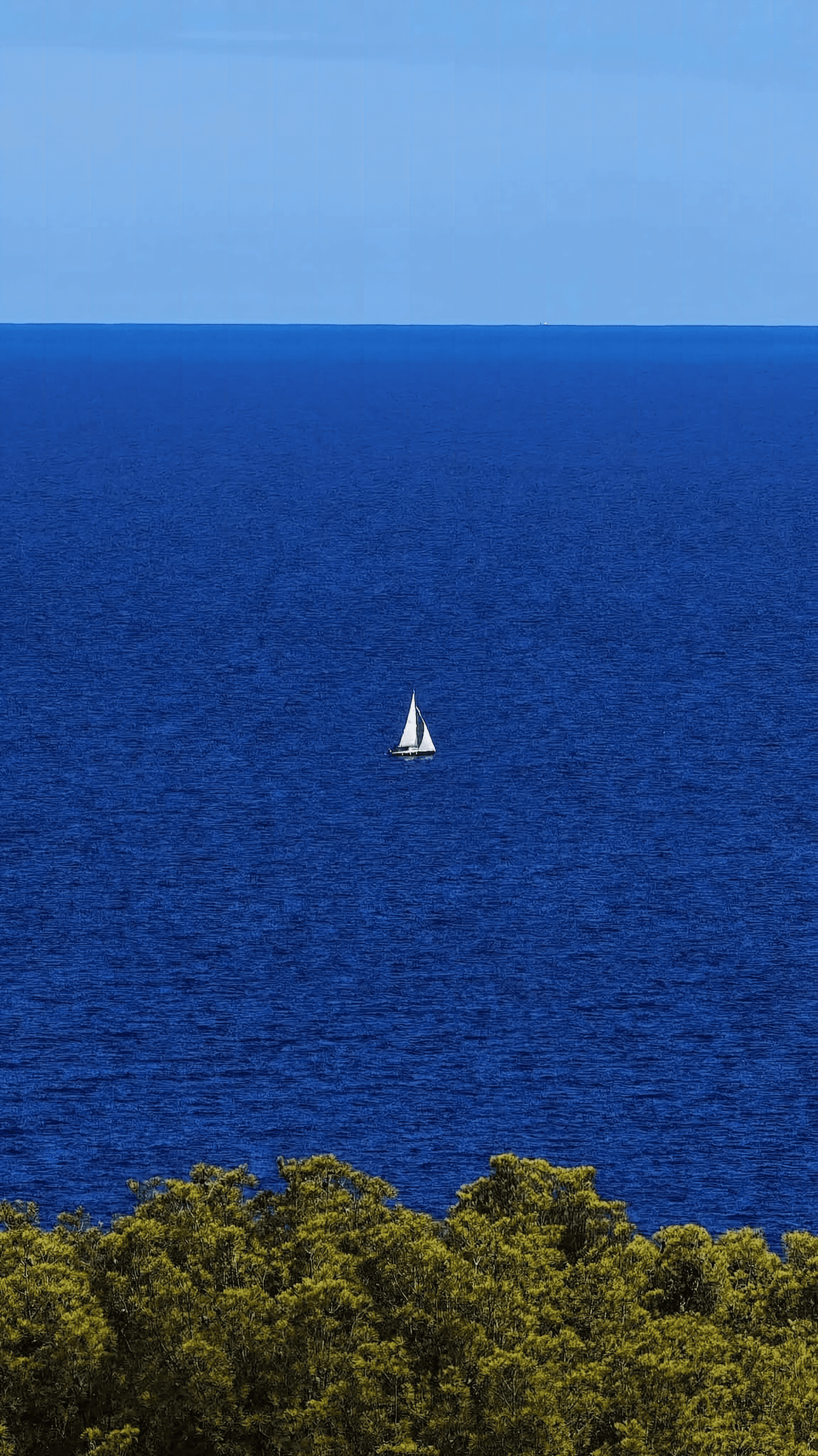 Lone Sail