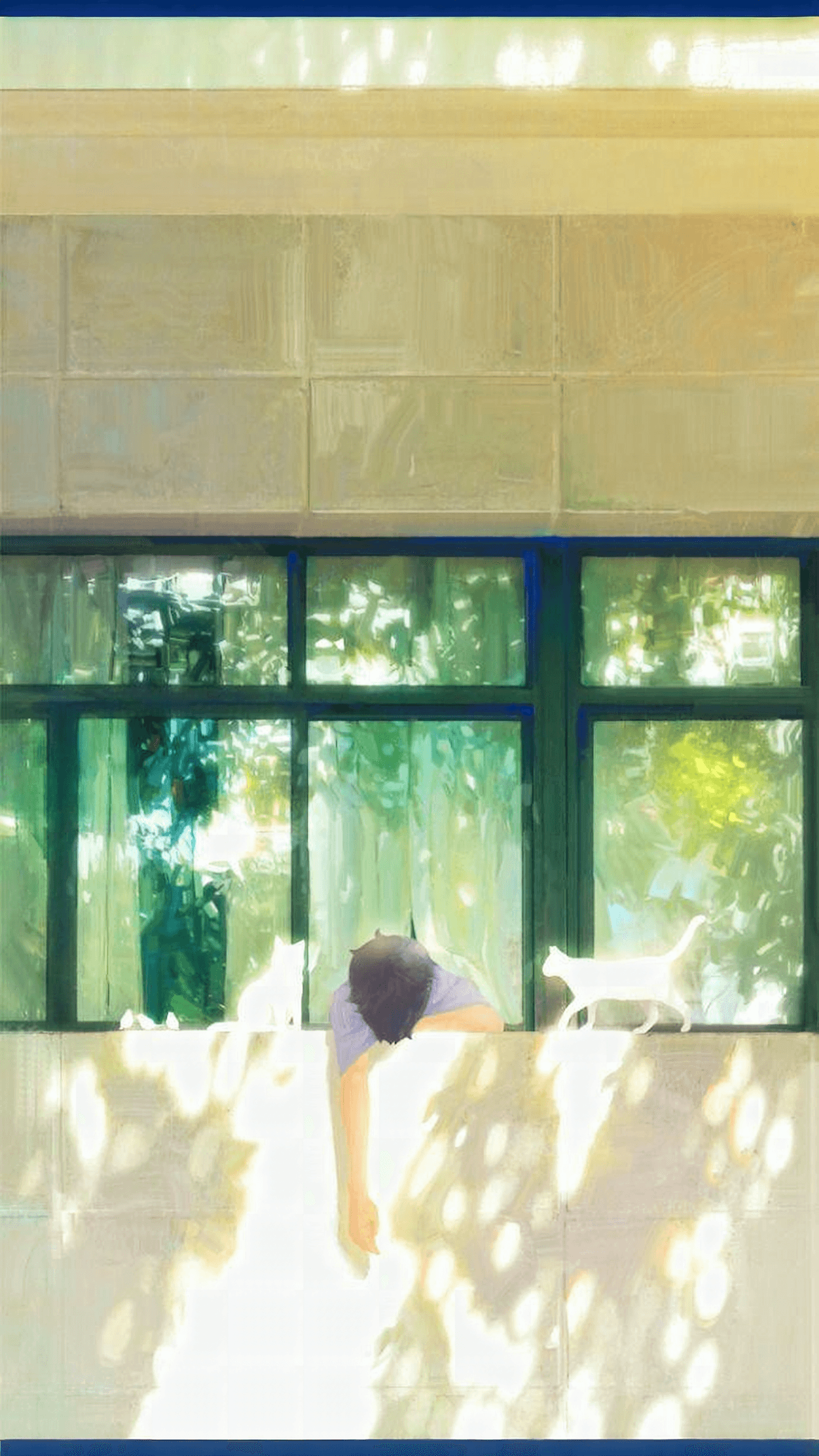 Window Gaze