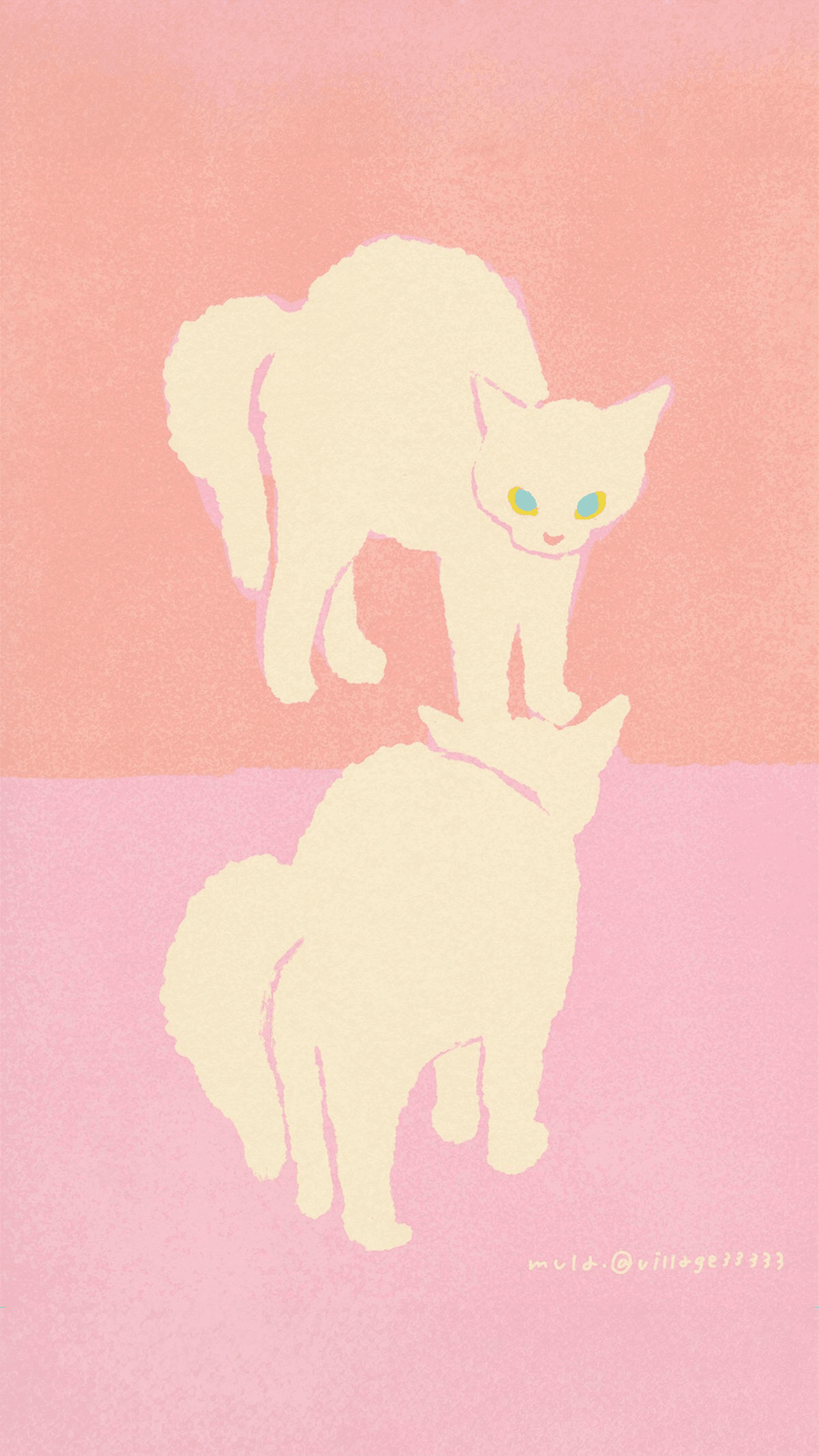 Twin Cats