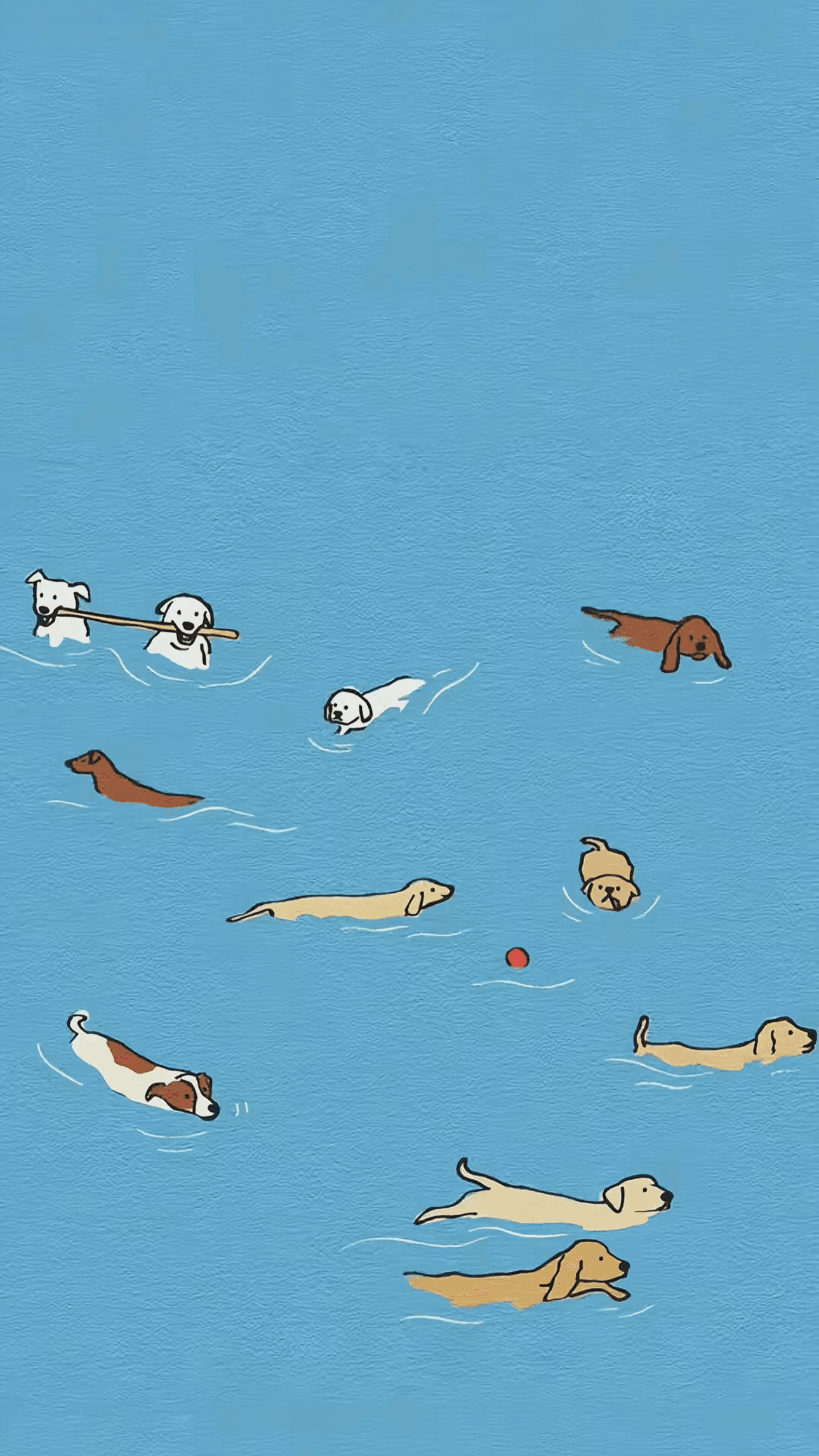 Pool Pups