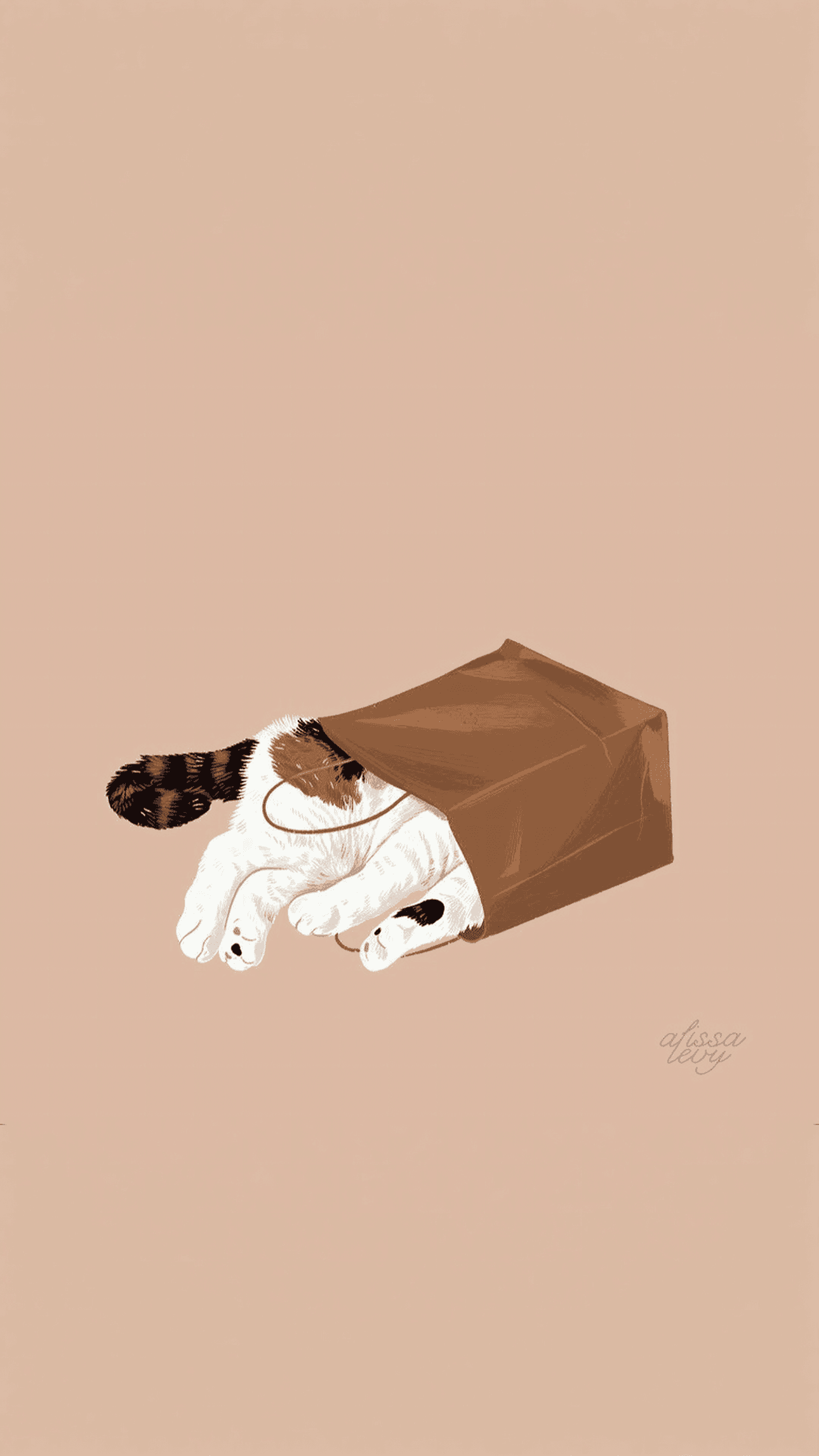 Bag Cat