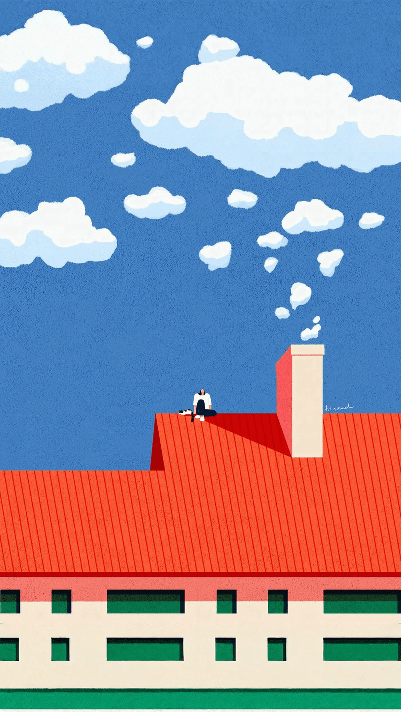 Roof View