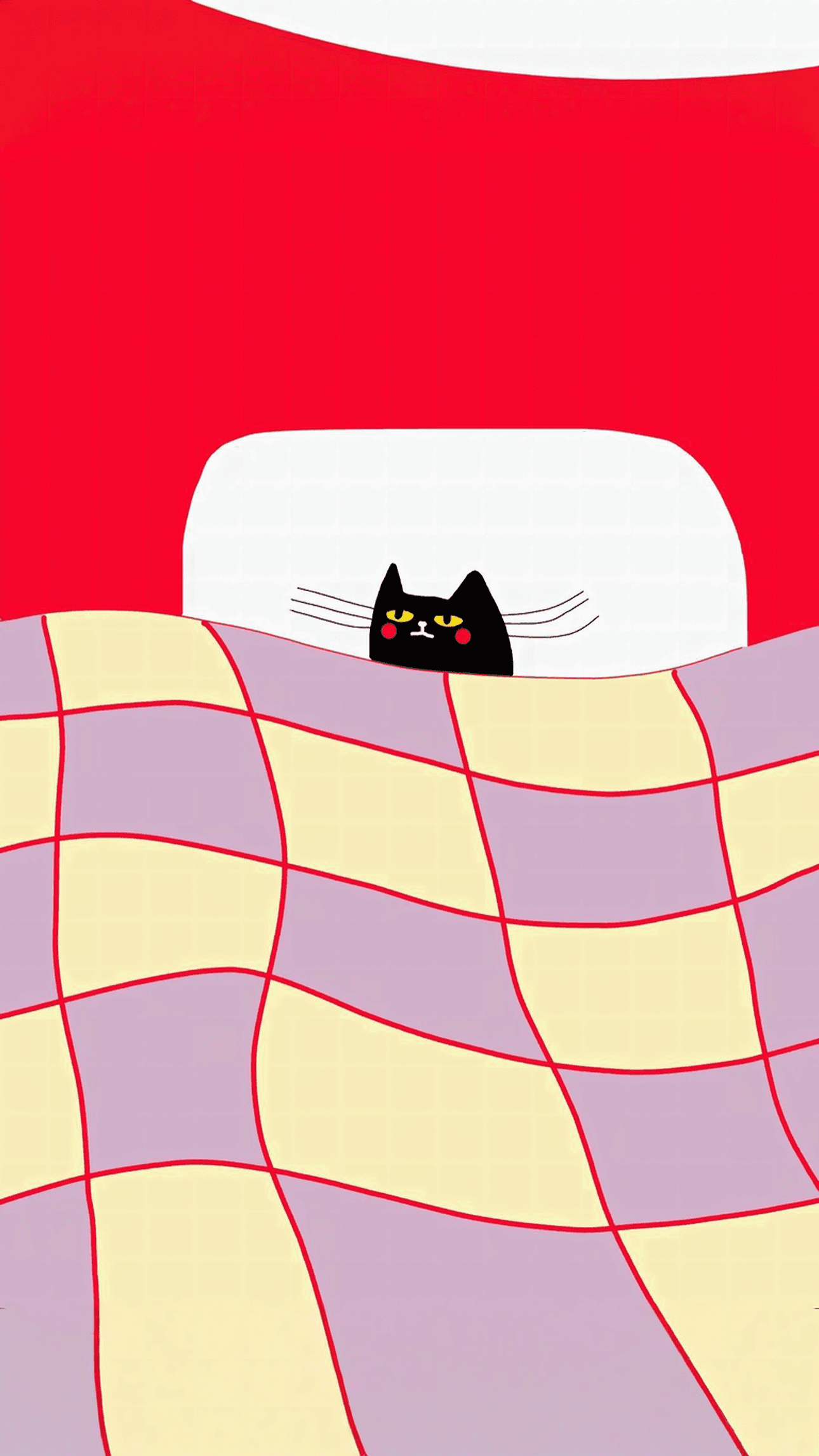 Hidden Cat