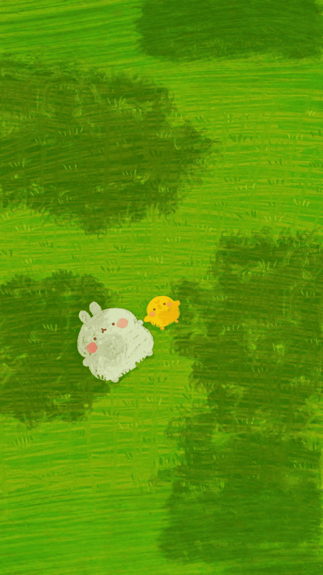 Field Pair