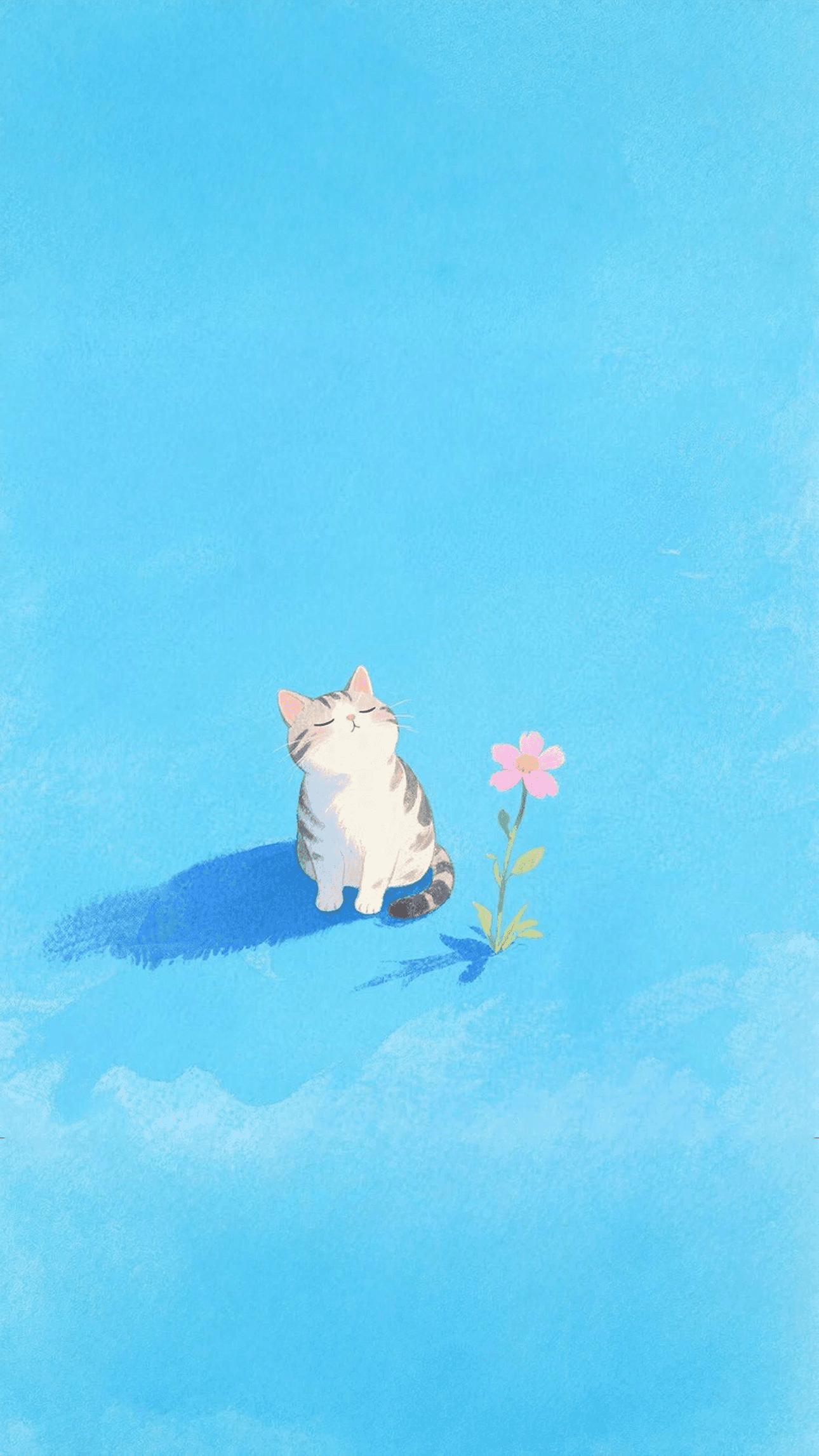 Curious Calico
