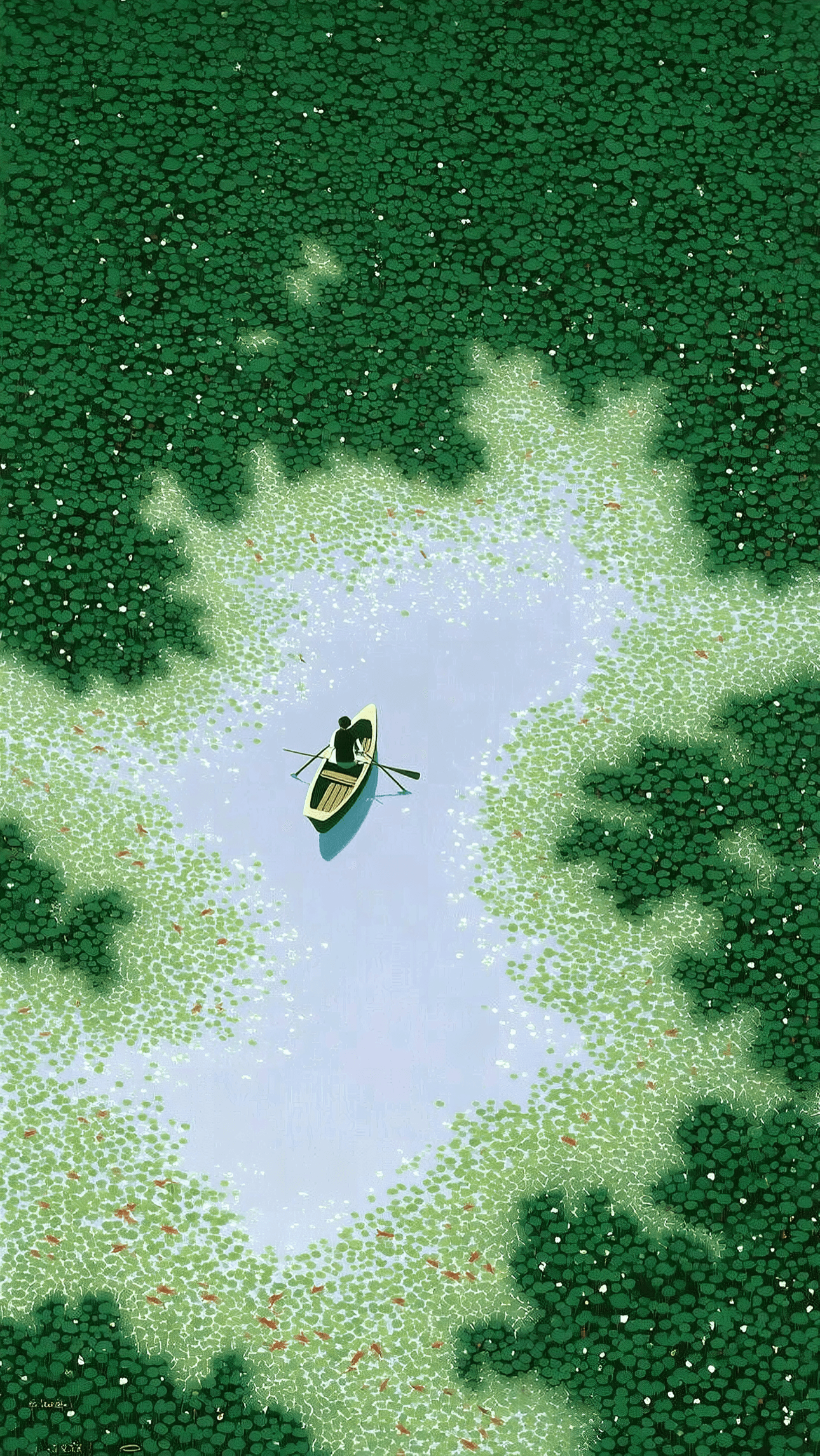 Lily Clearing