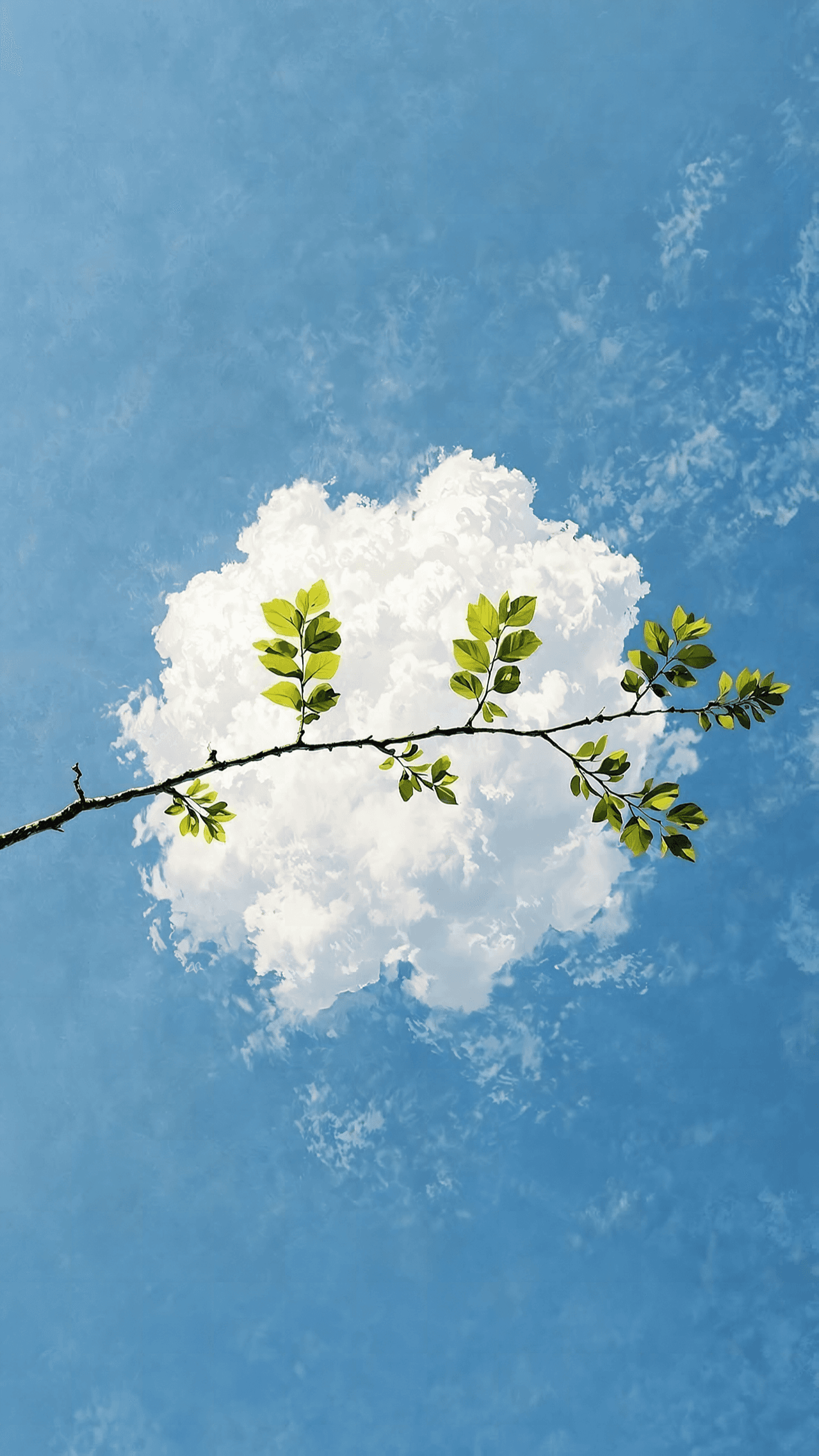 Branch and Cloud