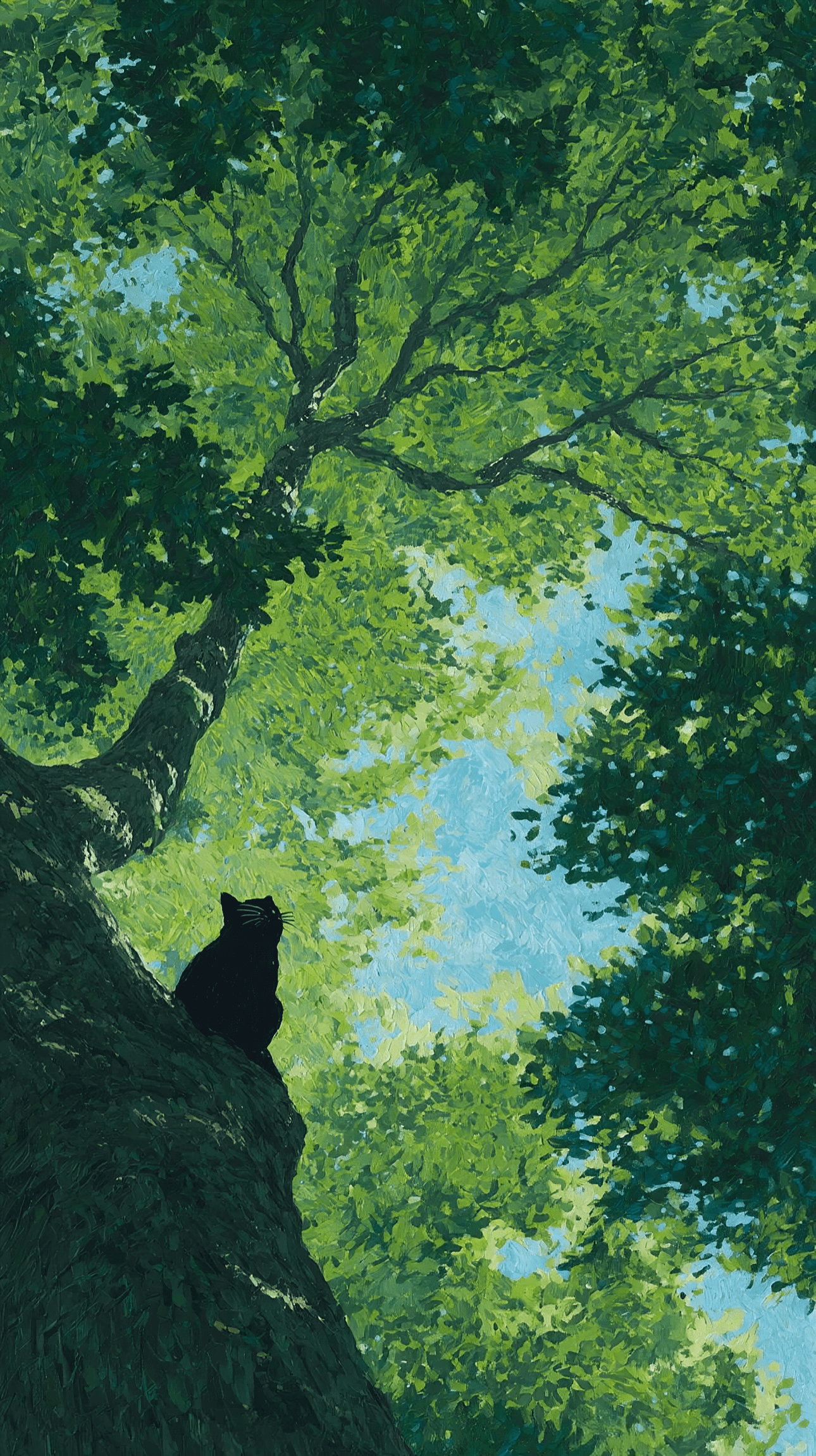 Under the Canopy