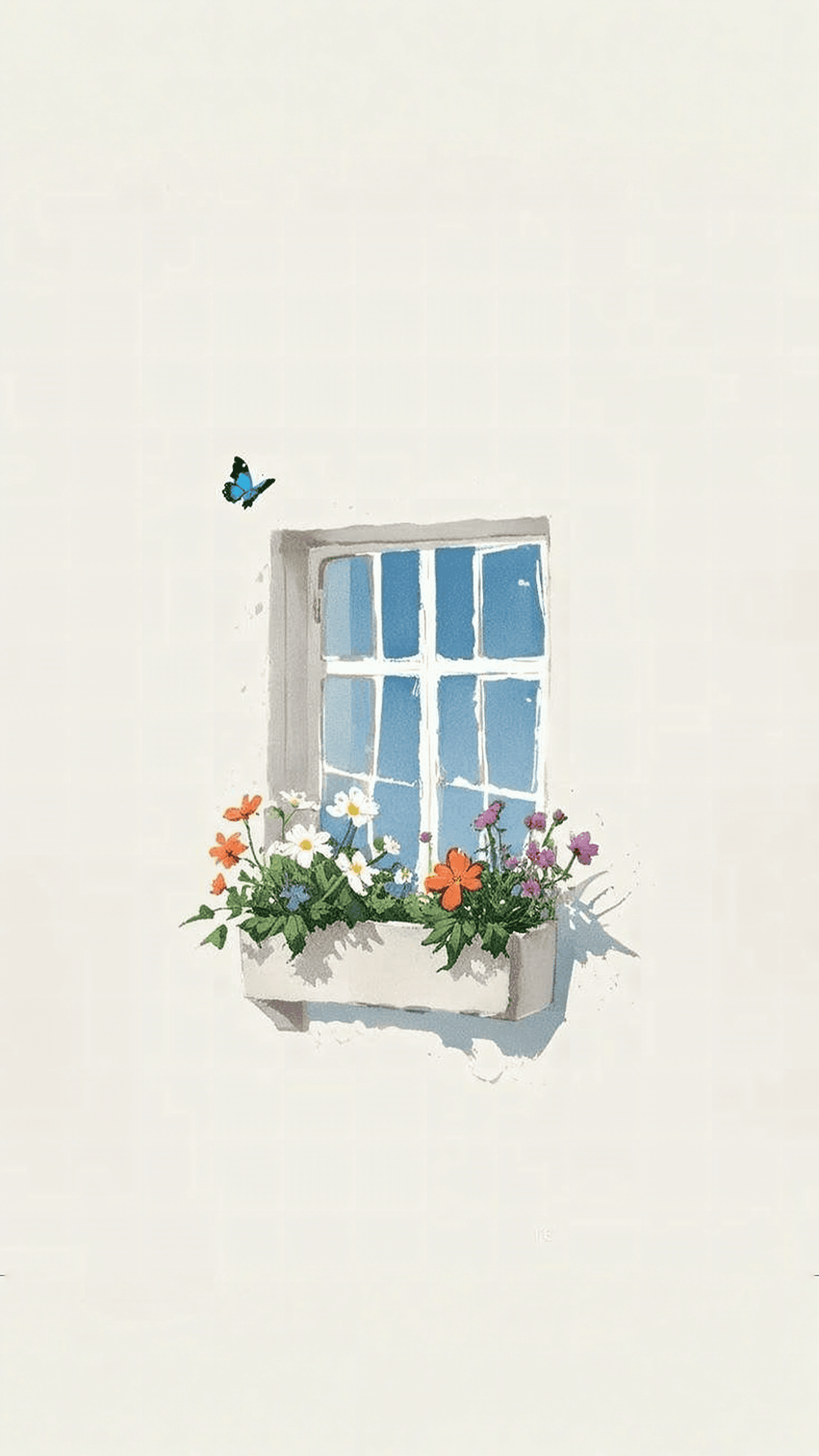 Window Box