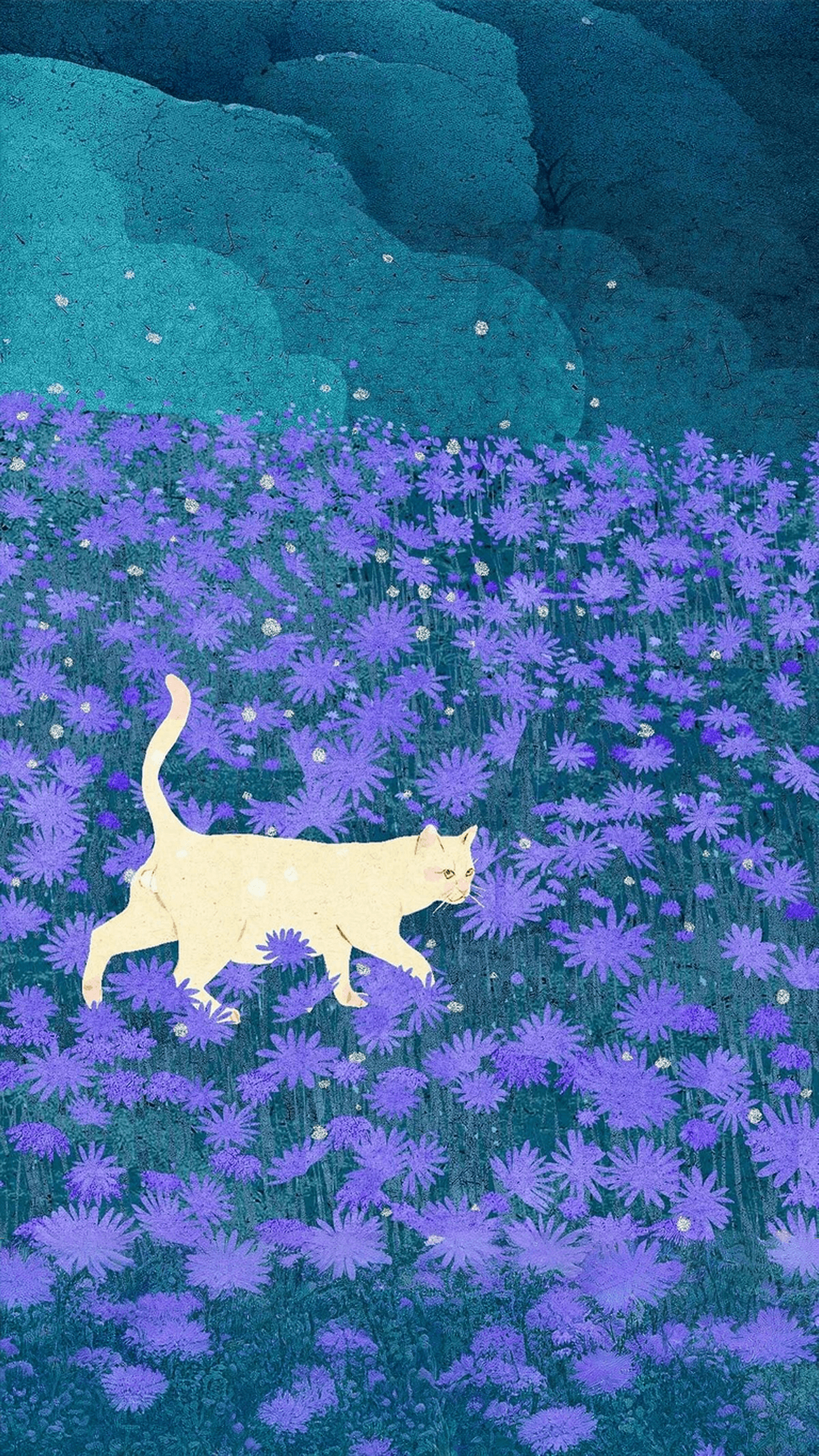 Midnight Asters