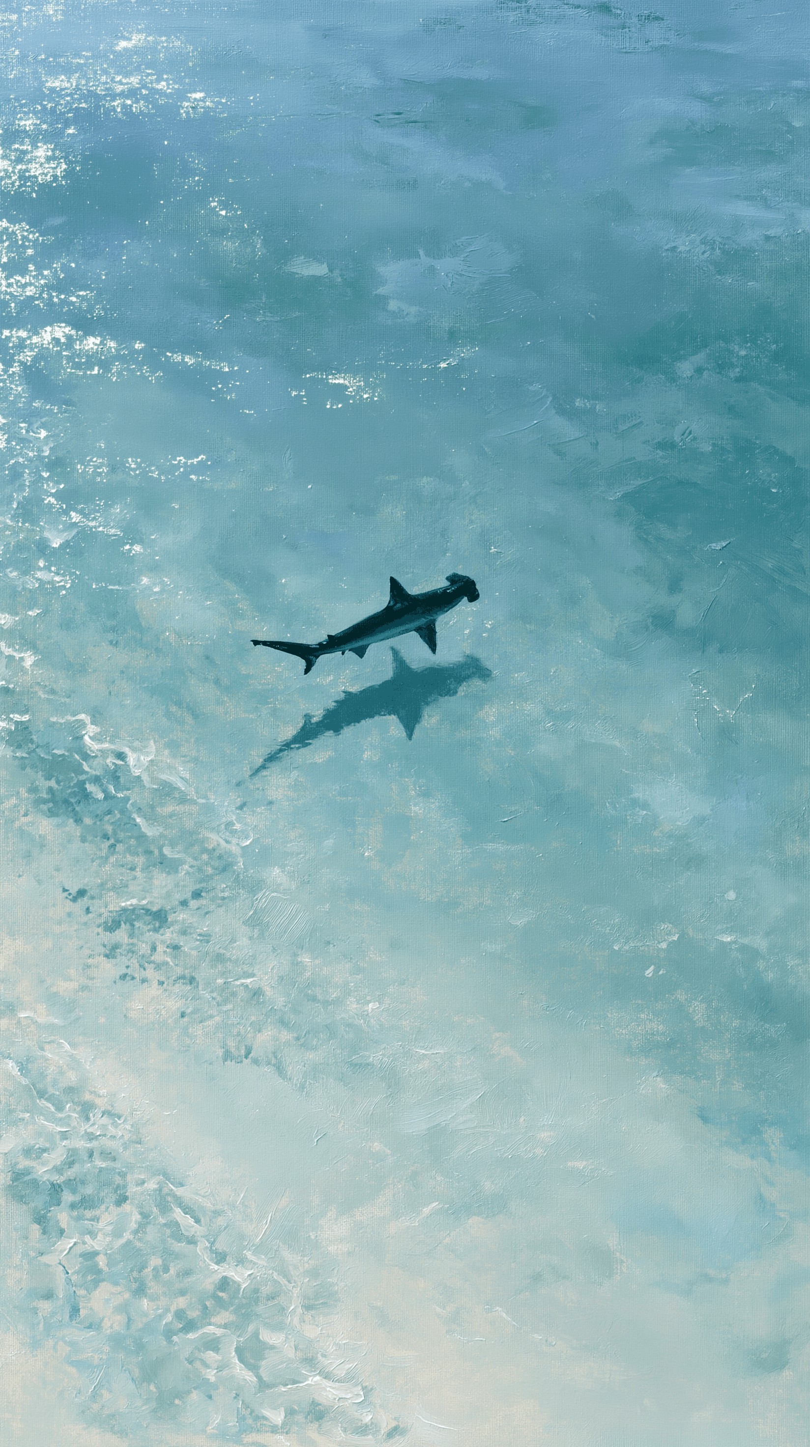 Shadow Below